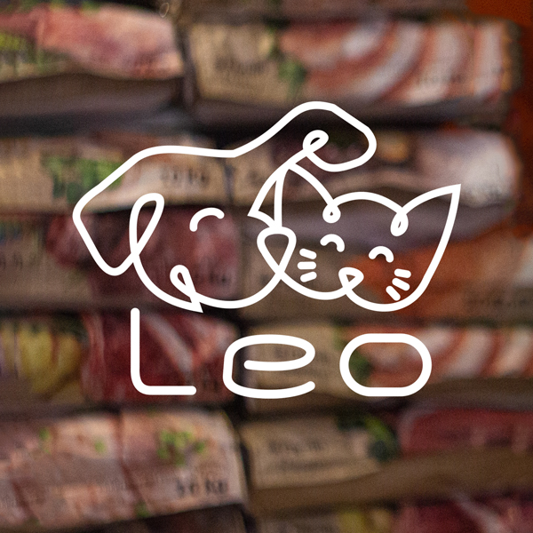 LEO